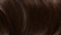 Shiner brown hair color